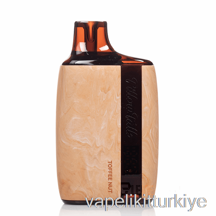 Elektronik Sigara Kalemi Vape Mate Yastık Konuşma 8500 Tek Kullanımlık şekerleme Somunu
